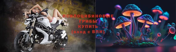 амф Касимов