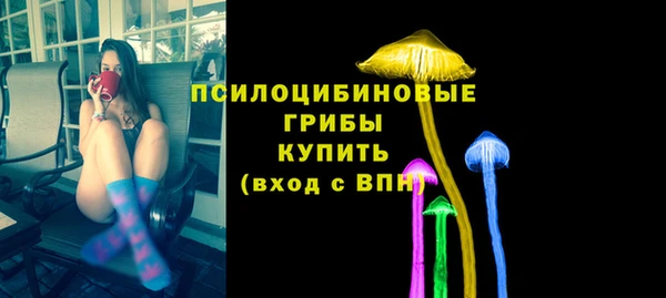 амф Касимов