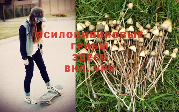 амф Касимов